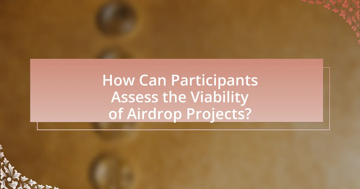 How Can Participants Assess the Viability of Airdrop Projects?